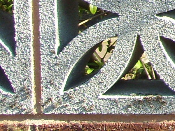 Close-up of a decorative metal grate with intricate leaf patterns and visible foliage behind it.