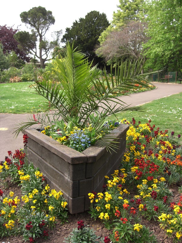 A lush garden bed with colorful flowers including reds, yellows, and blues, centered around a green palm-like plant in a large stone planter, with trees in the background and a clear pathway on the left.