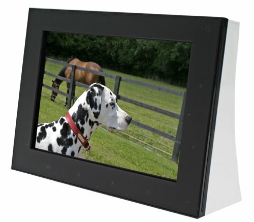 AG Neovo FotoVivo V10 7-inch Digital Photo Frame displaying an image of a Dalmatian dog with horses in the background.