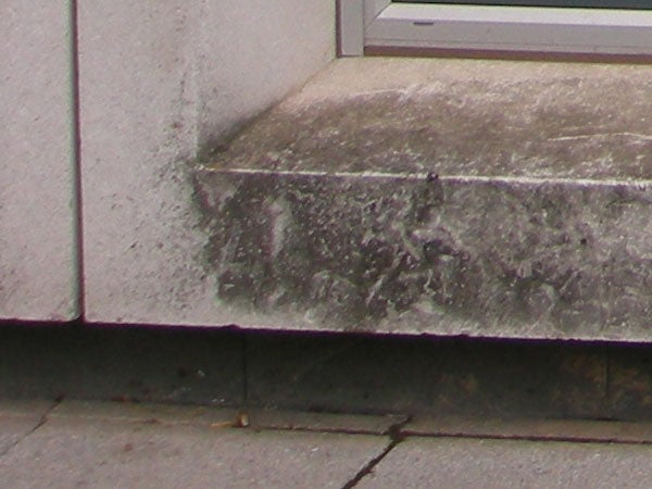Close-up of weathered concrete step with mildew stains.