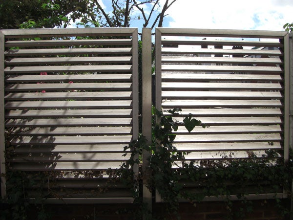 Wooden slat fence with ivy, photographed in daylight.