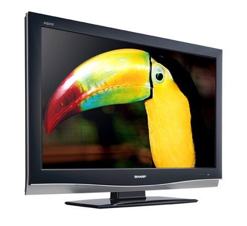 Sharp LC42XD1E 42-inch LCD TV displaying a toucan image.