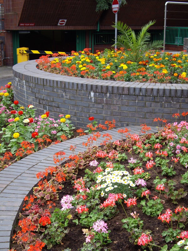 Colorful flowerbeds captured by Pentax Optio A30 camera.