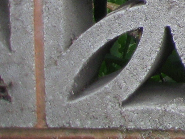 Close-up photo of metallic pattern detail captured with Canon IXUS.