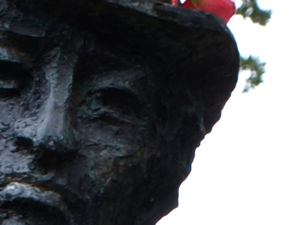 Close-up of a statue with a blurred background.