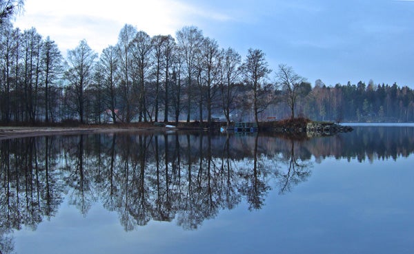 Calm lake with trees reflecting on water, captured by BenQ DC-T700.
