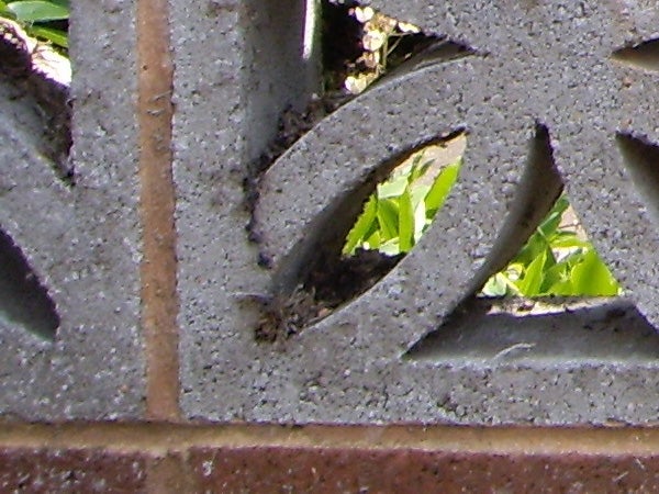 Close-up of intricate ironwork with foliage in the background.