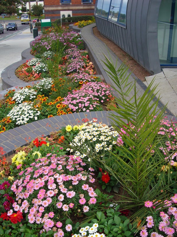 Colorful flowerbeds along a curved pathway with architectural details.