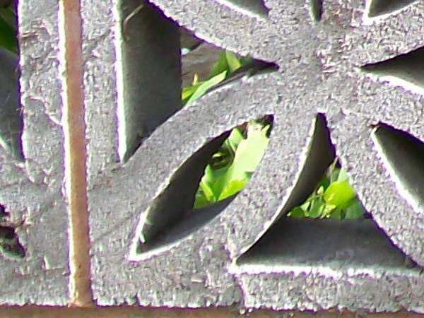 Close-up photo showing image quality of Kodak EasyShare C743.