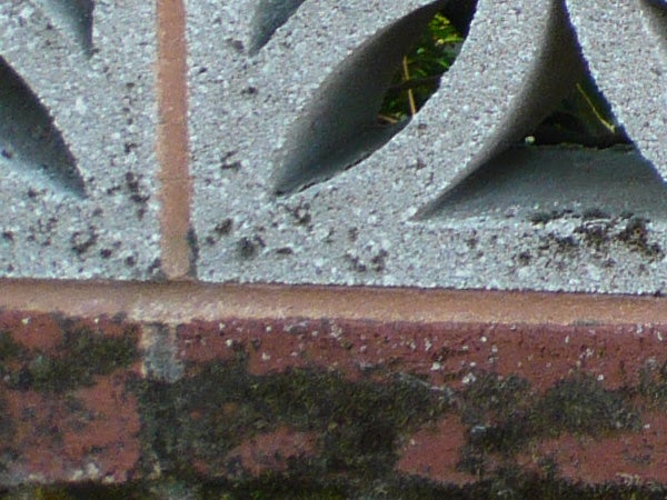 Close-up of brickwork showing camera's detailed texture capture.