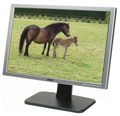 Dell monitor displaying horses on a grassy field.