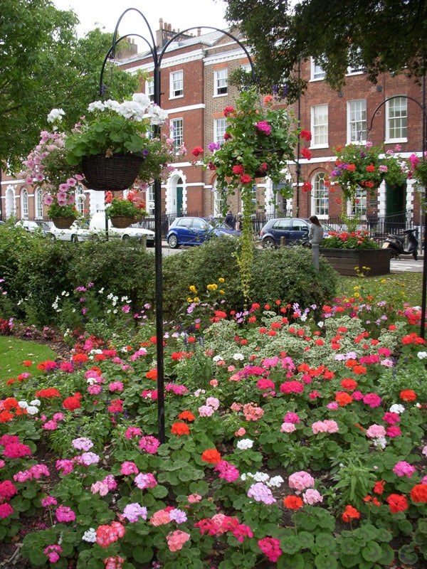 Colorful flowerbeds and hanging baskets in an urban garden.