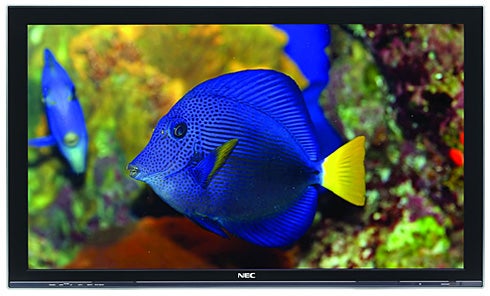 NEC PlasmaSync 50XR6 displaying vivid underwater scene.