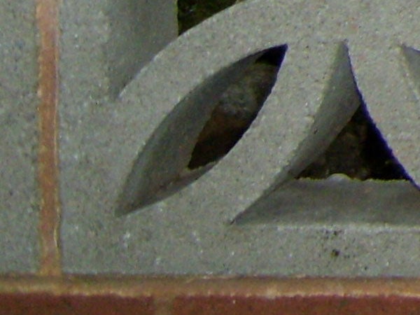 Close-up of a camera's shutter captured by BenQ DC E1000.