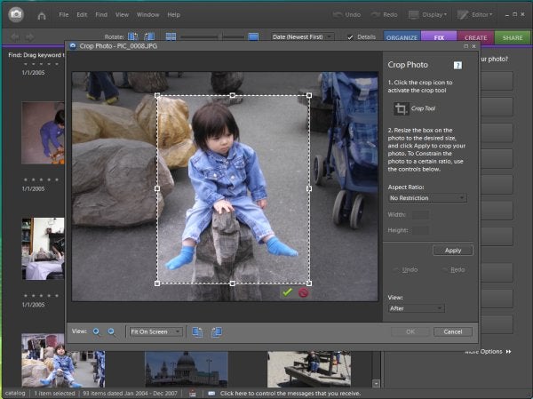 Screenshot of Adobe Photoshop Elements 6 photo cropping tool.