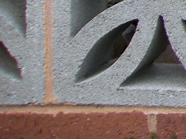Close-up of textured brick wall with soft focus.