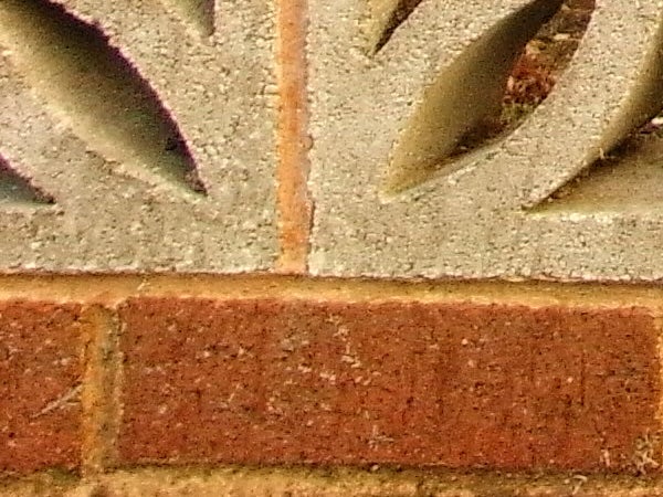 Close-up photo showing brick texture and detail.