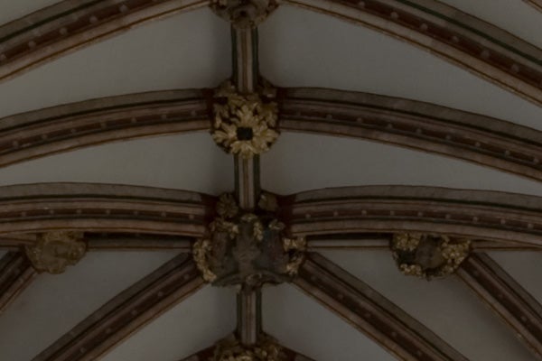 Close-up of intricately designed ceiling vaulting.