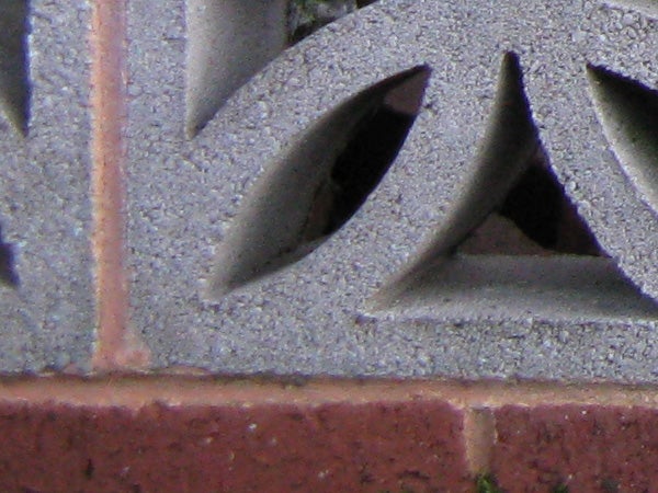 Close-up image of architectural detail shot with Canon PowerShot A720 IS.