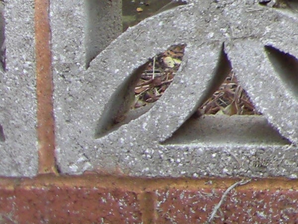 Close-up of decorative brickwork with intricate patterns.