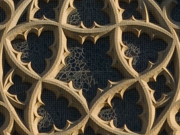 Intricate gothic window lattice pattern overlay.Intricate patterned design possibly captured with a Pentax K10D.