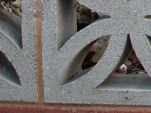 Close-up of textured surface with geometric cutouts.