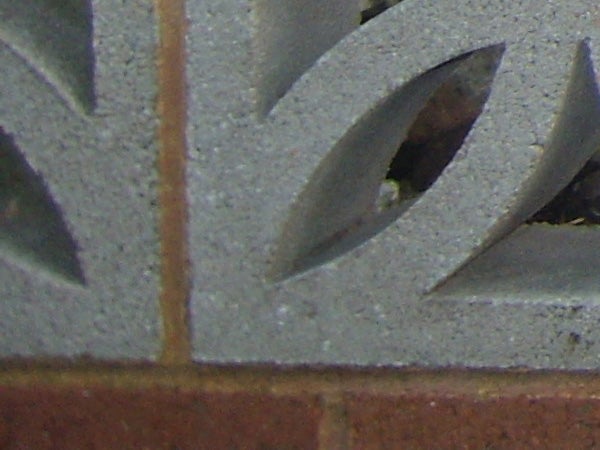 Close-up photo of a patterned brick wall taken with BenQ DC C1050.