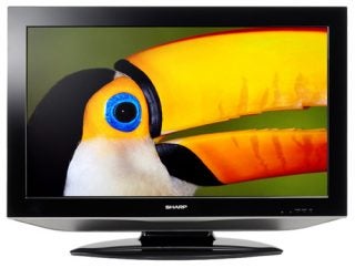 Sharp LC32AD5E 32-inch LCD TV displaying a toucan.