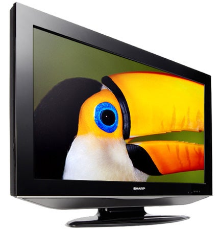 Sharp LC32AD5E 32-inch LCD TV displaying colorful toucan image.Sharp LC32AD5E 32-inch LCD TV displaying a toucan image.