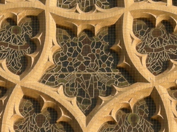 Ornate patterned grille showing camera's detailed close-up capability.