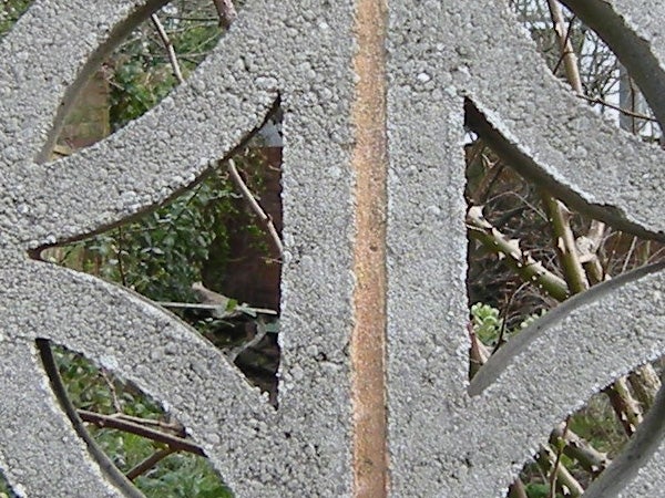 Frost-covered metal with foliage in the background