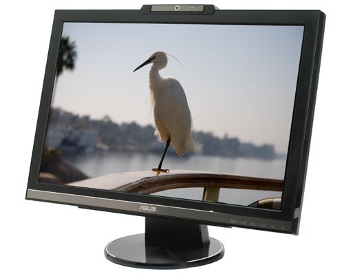 Asus MK241 24in LCD monitor displaying a heron on screen.