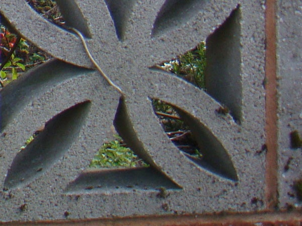 Close-up of patterned metal with a green background.Close-up of a decorative concrete block taken by Sony DSC-T2.