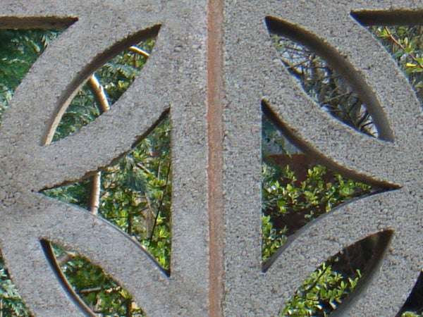 Close-up photo of foliage through a decorative patterned grate.Close-up photo showcasing the Sony Cyber-shot DSC-T2's macro capability.