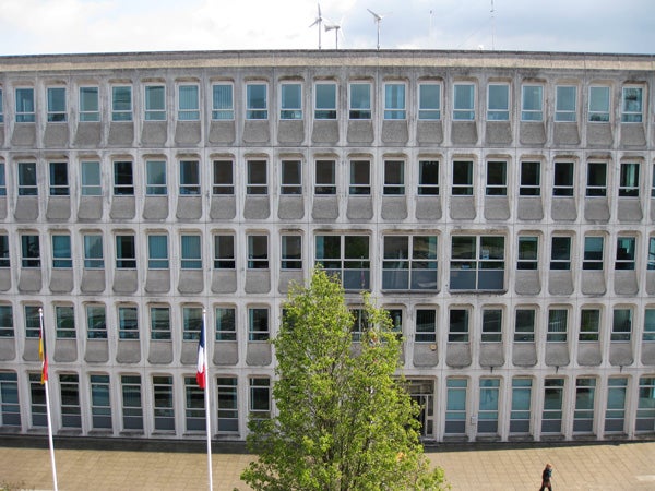 Office building facade with tree and flags in the foreground.Modern building facade with symmetrical windows and tree