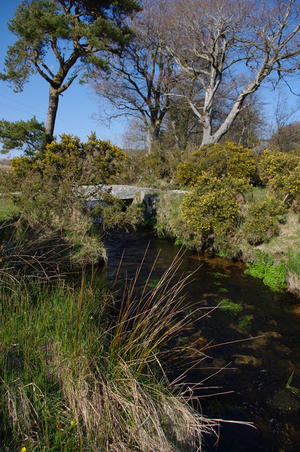 Landscape photo taken with Pentax K20D showing trees and stream.Pentax K20D photo of a stream with bridge and trees.