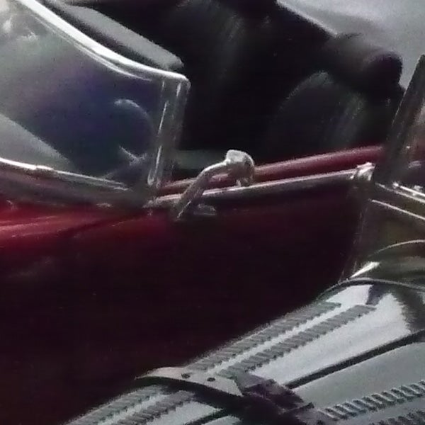 Small lizard on a shiny red car surface.Close-up photo of an object taken with poor focus