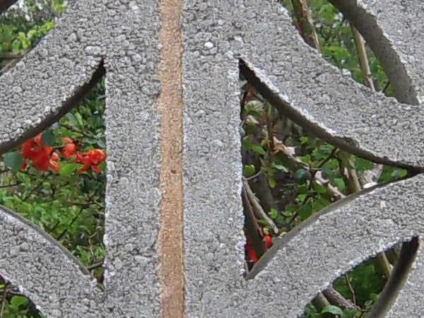 Photo showing close-up texture detail through a metal grate.Close-up photo of a garden through a textured lattice.