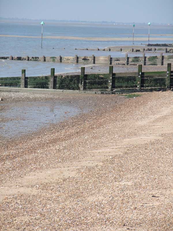 Seaside landscape with groynes and shingle beach.Photo of a pebbly beach with wooden groynes and calm sea.