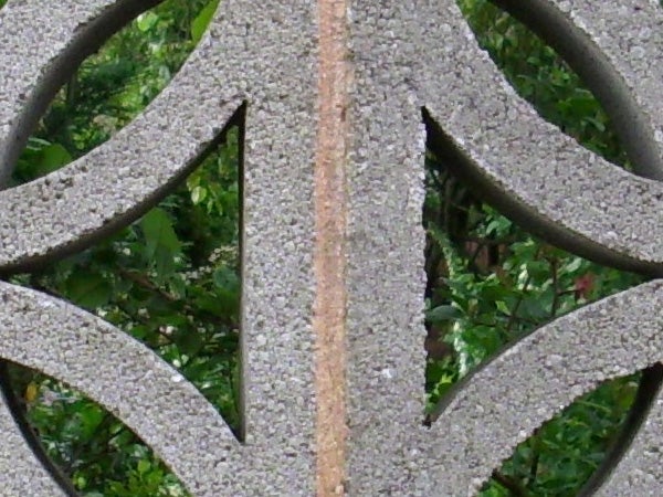 Close-up of a decorative iron fence with greenery background.Close-up of a garden bench with green foliage background.