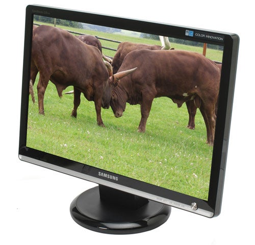 Samsung SyncMaster 226cw monitor displaying an image of bulls.