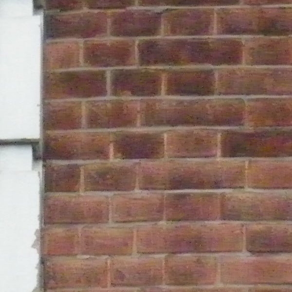 photo of a brick wall taken with Pentax Optio M50.