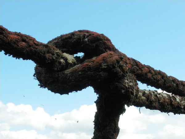 Rusty anchor chain with red algae against a cloudy sky.Old rusty anchor with red seaweed against blue sky