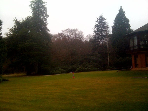 Photo of a garden captured with iPhone 3G camera.Camera quality test photo for iPhone 3G with trees.