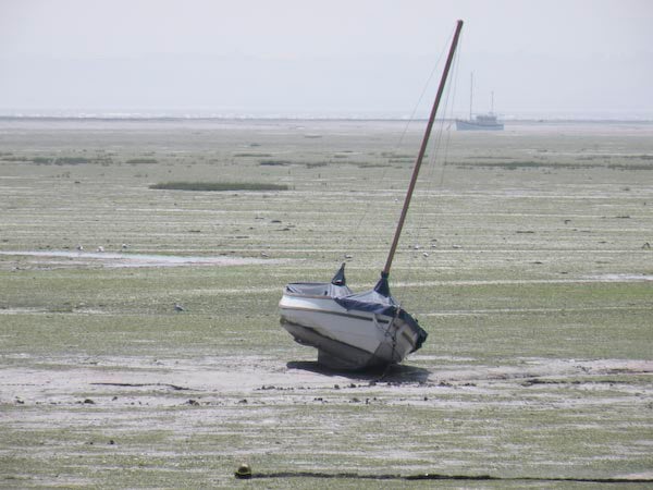 Beached sailboat with tilted mast on muddy ground.Beached sailboat at low tide with distant water and boat.