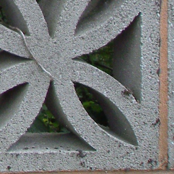 Close-up of a decorative stone wall captured with Samsung NV30 camera.Close-up of a carved stone pattern with frost detailing.