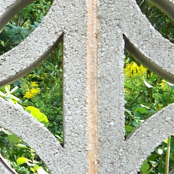 close-up of a decorative iron fence with foliage background.photo of foliage through a wrought iron fence.