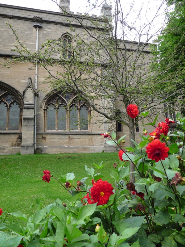 Photo of red flowers with gothic church in the background.Photo taken with Panasonic Lumix DMC-FZ28 showing flowers and architecture.