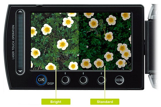 JVC Everio camcorder displaying bright versus standard setting.JVC Everio GZ-MS100 camcorder displaying flowers on its screen.