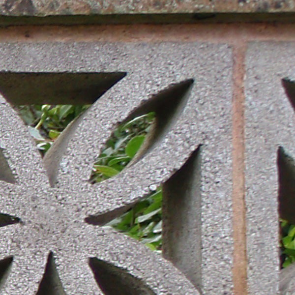 Close-up of water droplets on a metal surface with foliage background.Close-up photo of wet metal surface with greenery in background.
